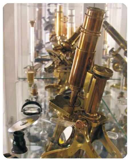 микроскоп.jpg микроскоп.jpg