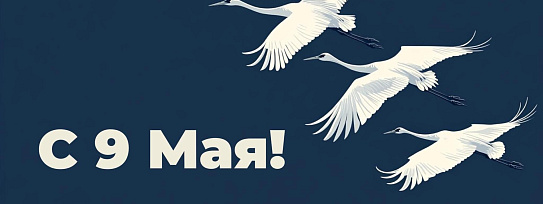 С Днем Великой Победы !