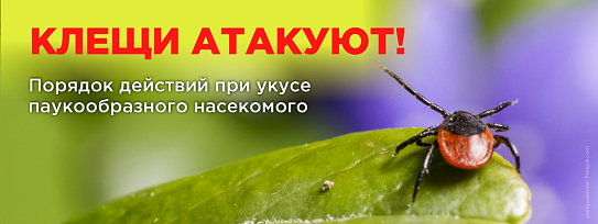 Исследование на клещевой энцефалит, клещевой боррелиоз, эрлихиоз и гранулоцитарный анаплазмоз